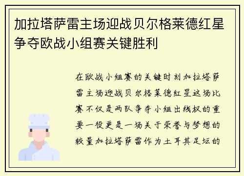 加拉塔萨雷主场迎战贝尔格莱德红星争夺欧战小组赛关键胜利